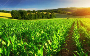 OUT-Industries-Agricultural-Supply-2